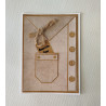 Carte Chemise