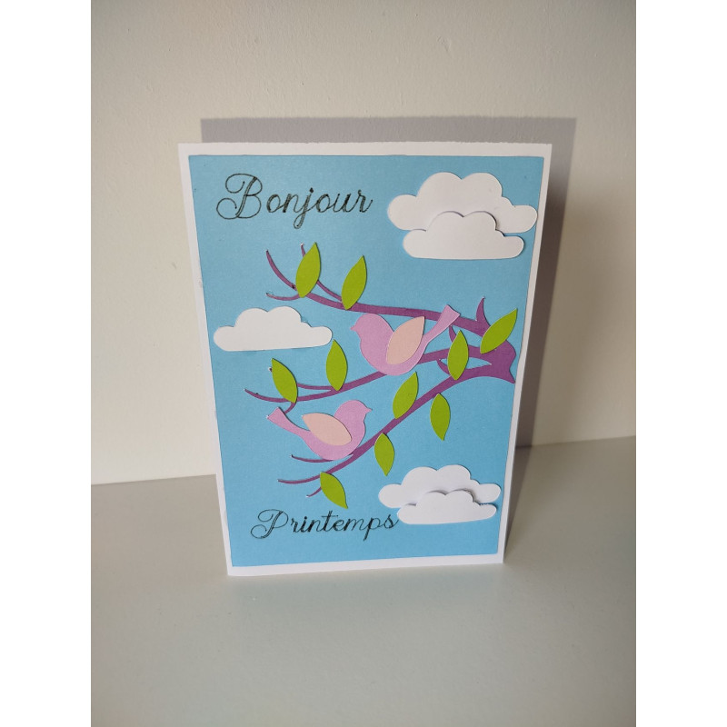 Carte Oiseaux