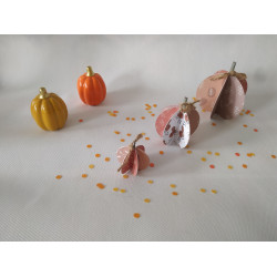 Lot de 3 Citrouilles 3D
