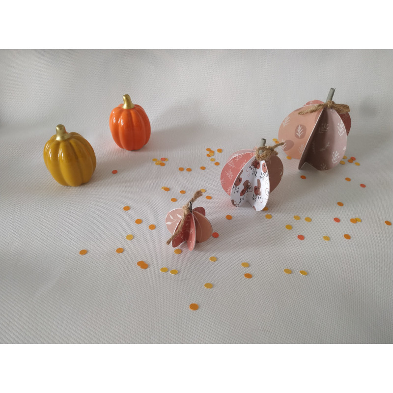 Lot de 3 Citrouilles 3D
