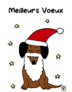 Craft-en-Ciel : Noël est là